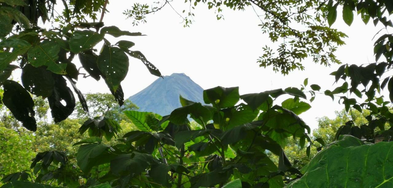 Hotel Campestre Arenal La Fortuna Buitenkant foto